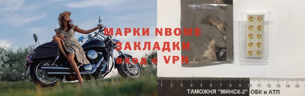 индика Майский