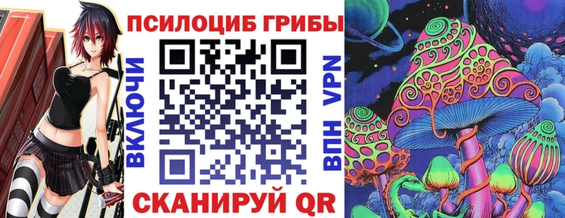 omg как войти  Лабытнанги  Псилоцибиновые грибы Psilocybe 