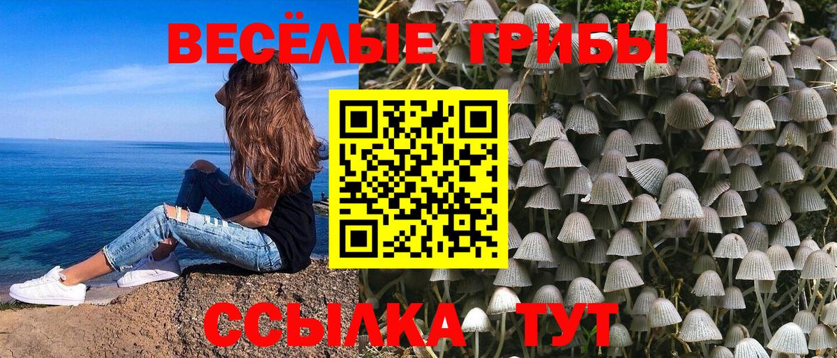 Лабытнанги  Псилоцибиновые грибы Psilocybine cubensis  Вход с VPN 